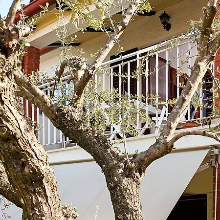 Apartment Carmelo Rovinj