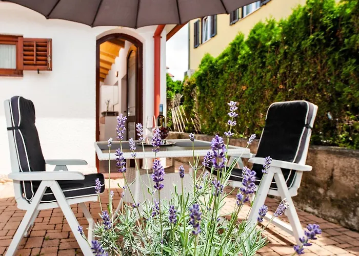 Carmelo Apartament *